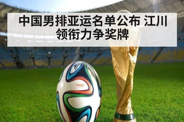 中国男排亚运名单公布 江川领衔力争奖牌